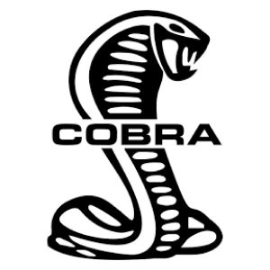 Mustang Cobra Clutch Parts